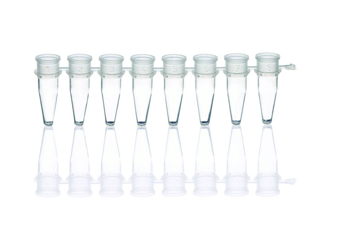 8er_PCR_Strips