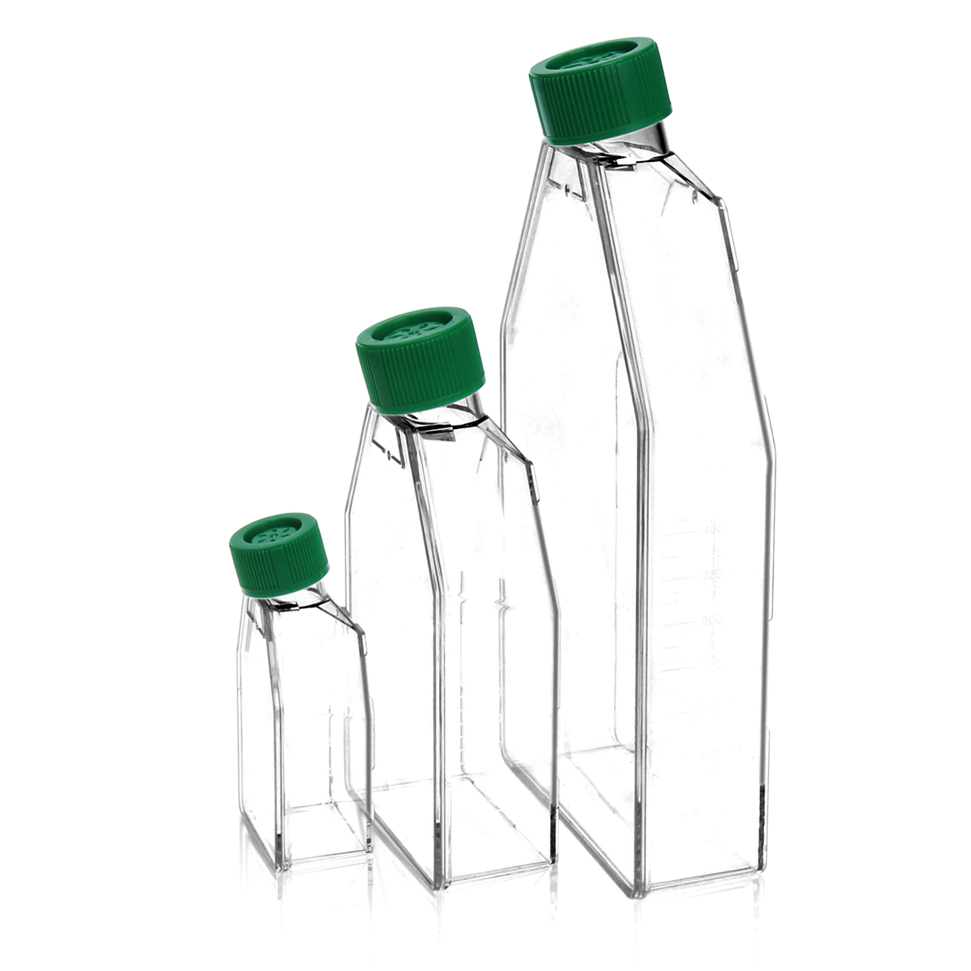 Zellkulturflaschen, 50 ml