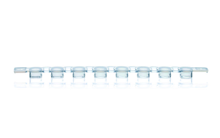 PCR_caps_strips_8_flat_cutout