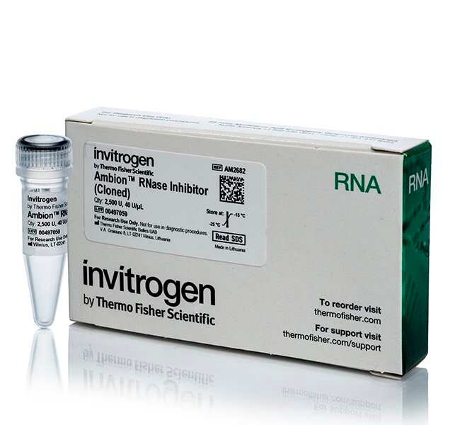 AmbionT RNase-Hemmstoff, geklont, 40 U/µL, 2500 Einheiten