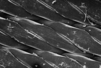 Polypropylen-Netzfilter, 25 µm, 25 mm, weiß, glatt, VE = 100 Stück