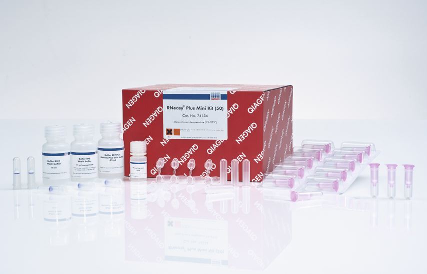 RNeasy Plus Mini Kit (50)