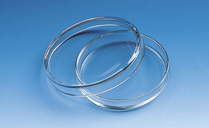 Petrischale, Natron-Kalk-Glas