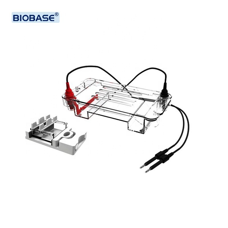 Horizontaler Elektrophorese-Tank BK-HET01
