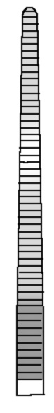 335111038
