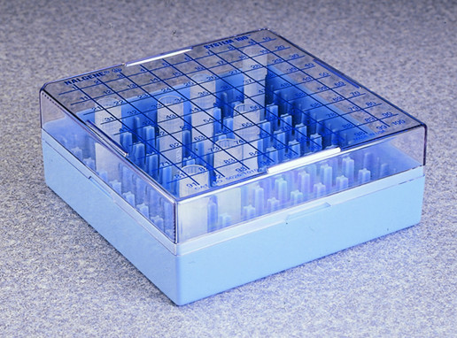 238751010