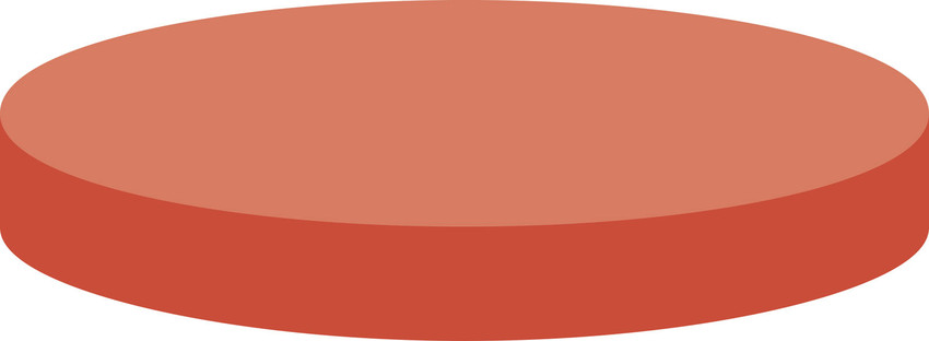 010135259