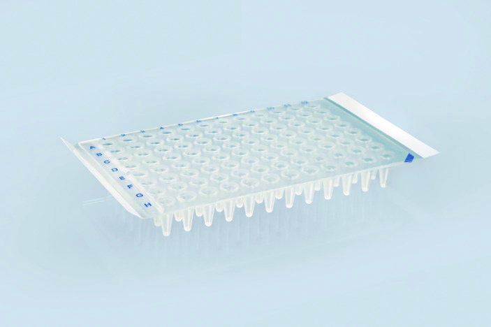 film_plate_qPCR