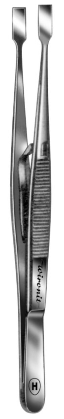 335110085